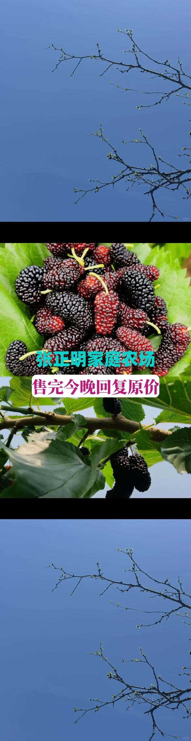 正明家庭农场