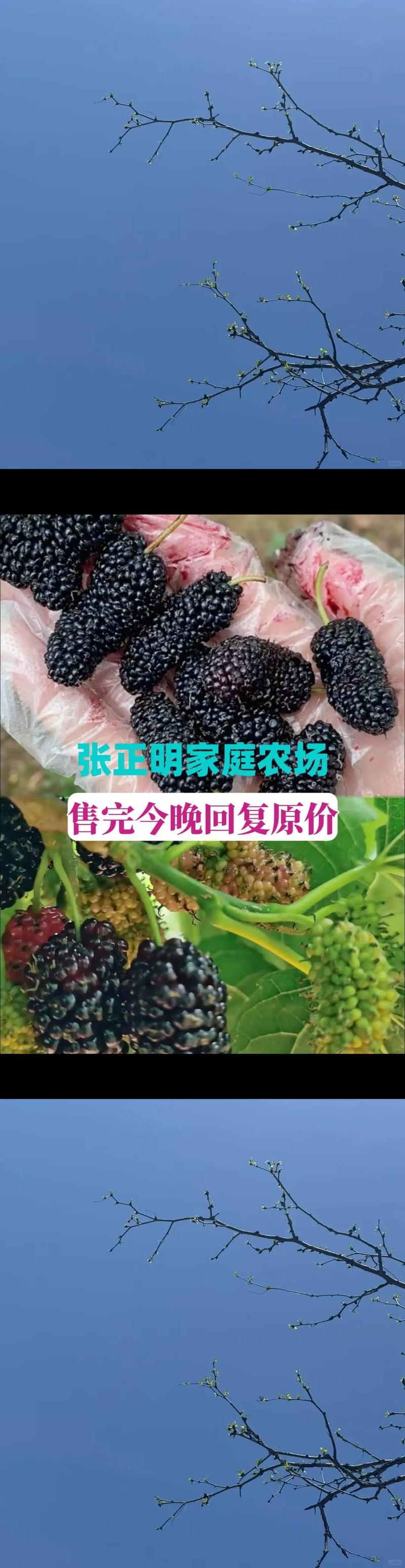 响水谷物种植产业的发展机遇与挑战
